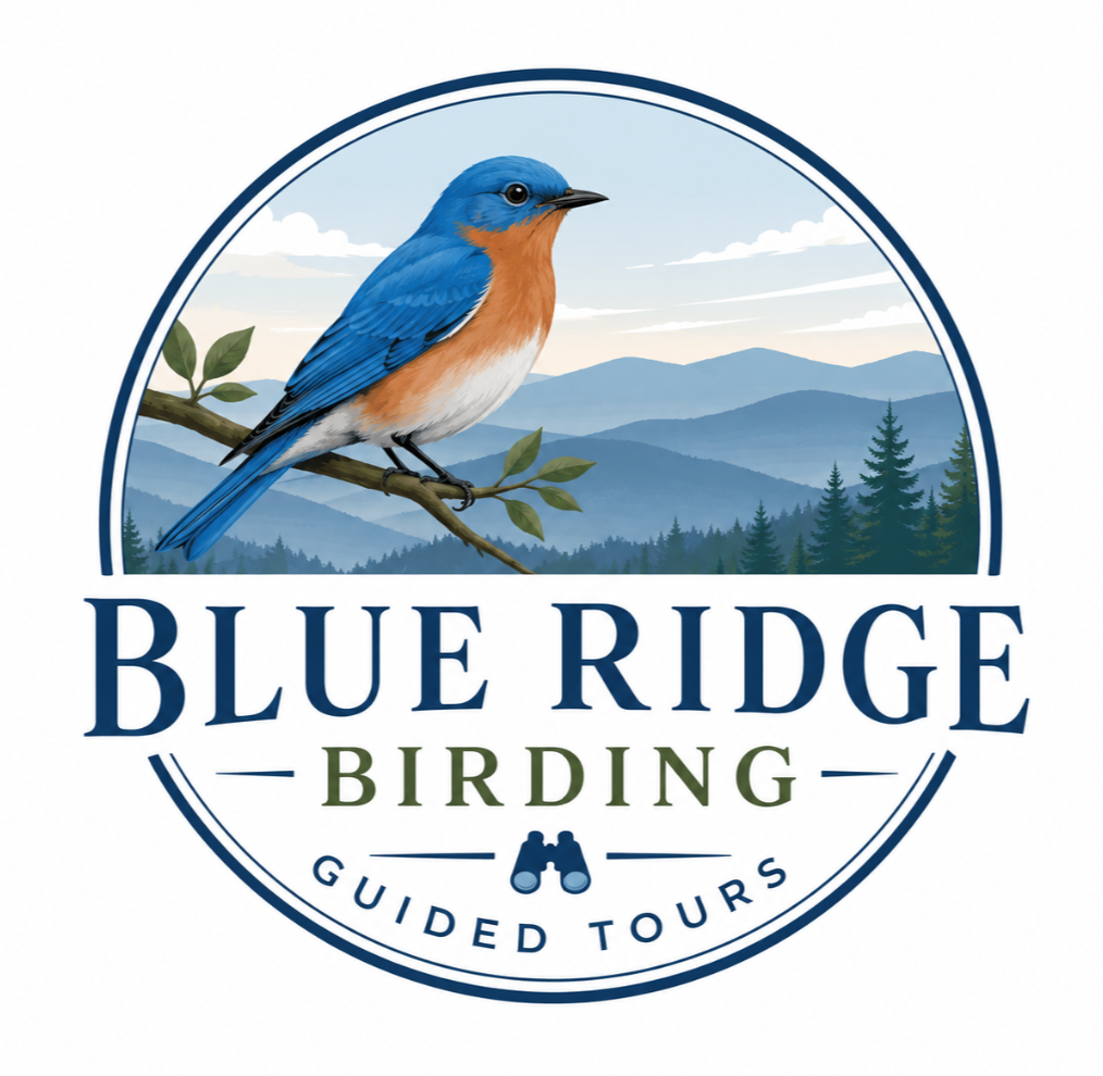 BlueRidgeBirding.com
